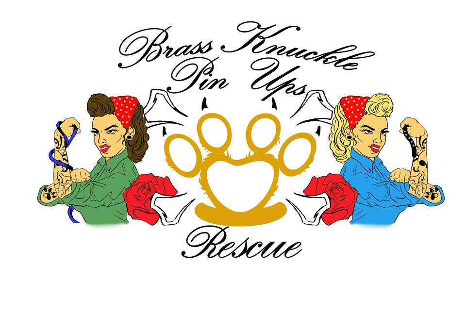 Brass Knuckle Pin Ups Rescue