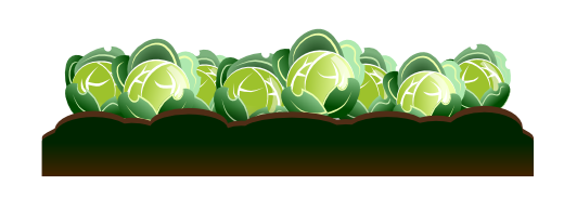 Hero Banner